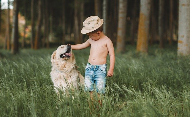 Introvert child is sensitive to Environment.